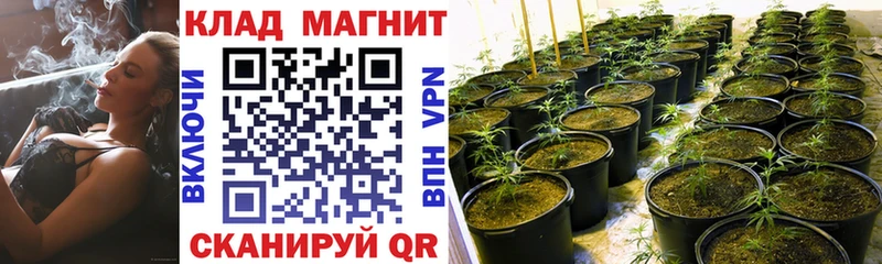 Продажа наркотиков Луза БУТИРАТ  Alpha-PVP  OMG ссылки  ГАШИШ  Меф мяу мяу 