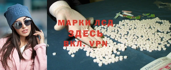 спайс Аша