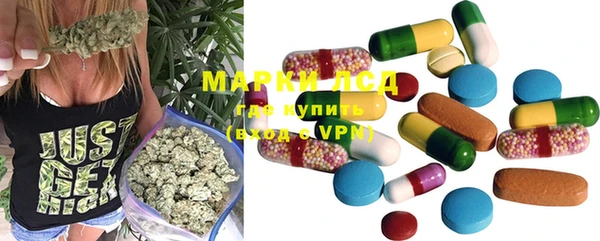 стаф Новозыбков
