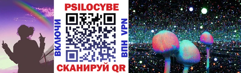 МЕГА как войти купить наркотики цена Луза Псилоцибиновые грибы Psilocybe